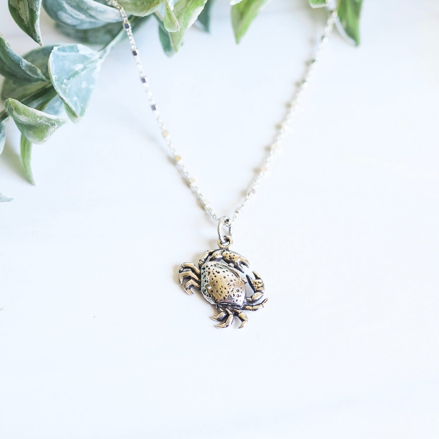 Cancer Necklace Silver