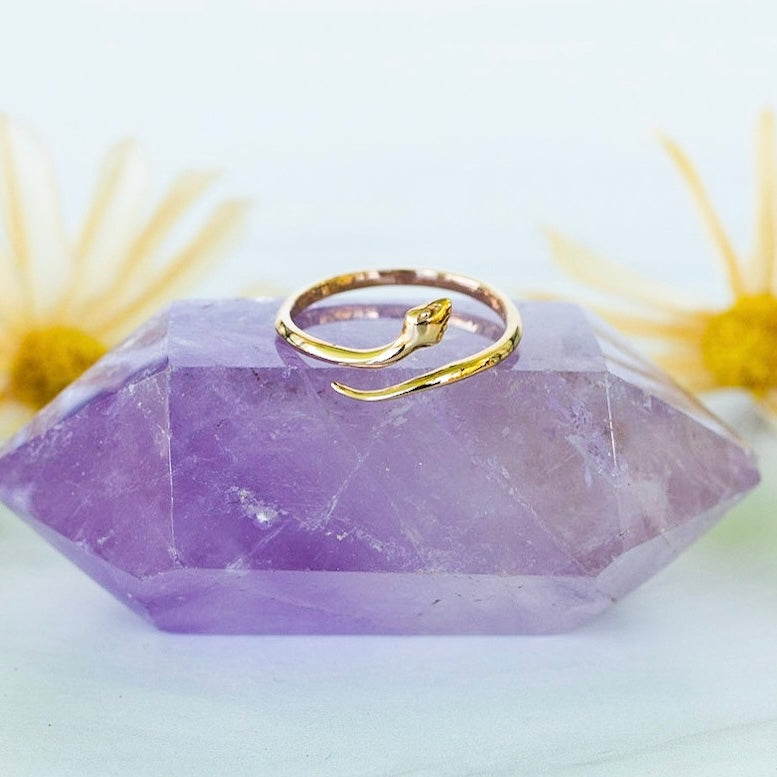 Transformation Ring - Gold