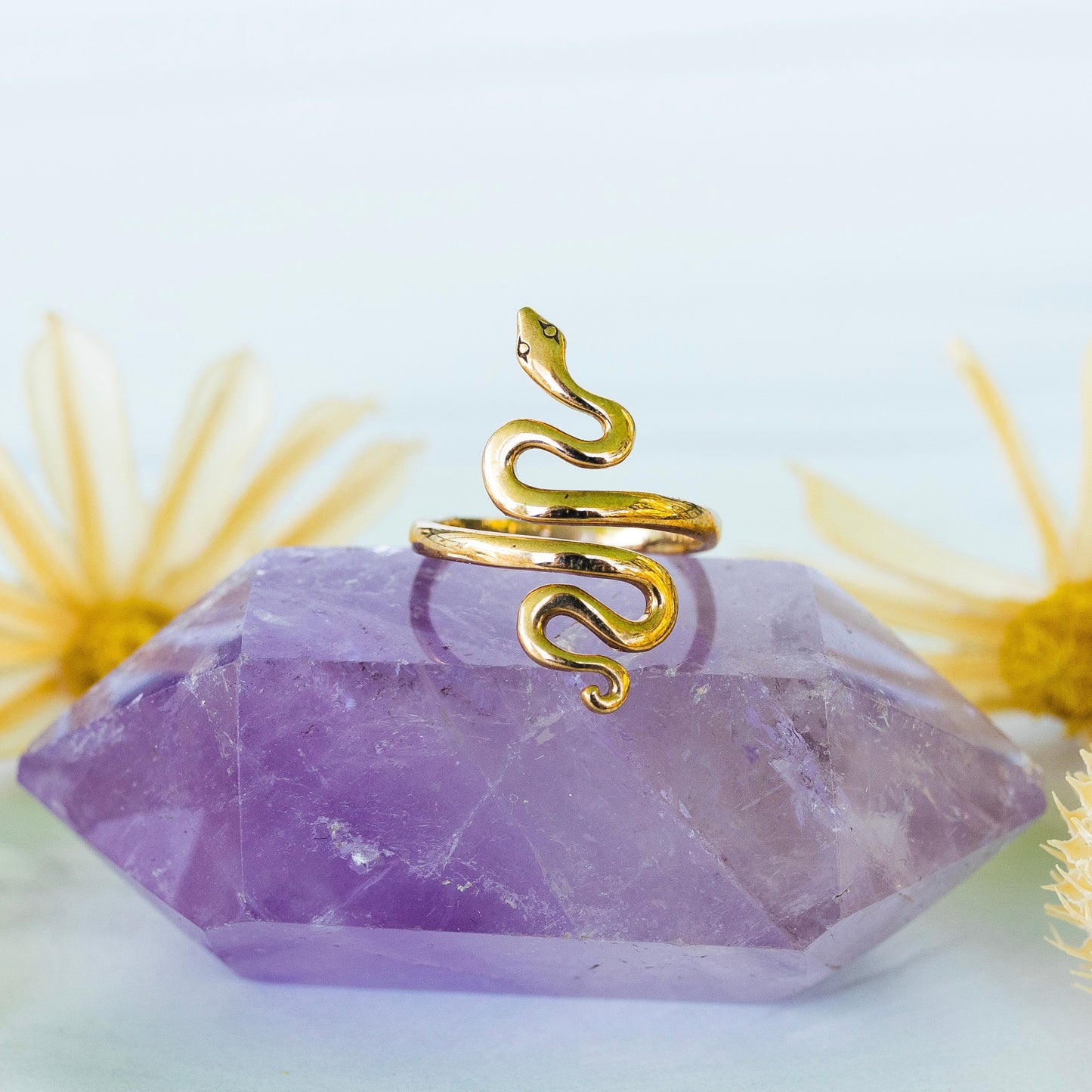 Rebirth Ring- Bronze