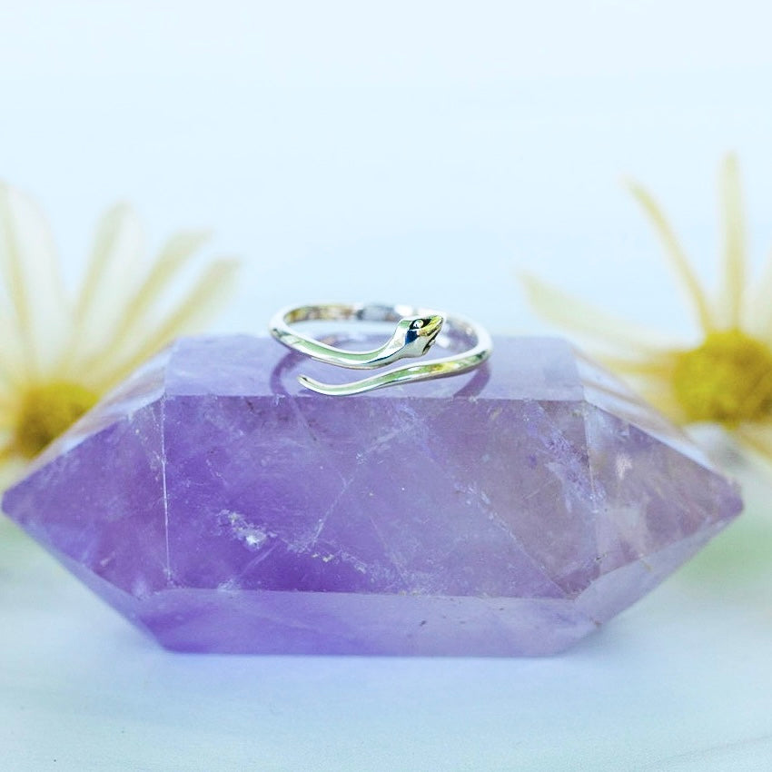 Transformation Ring- Sterling Silver