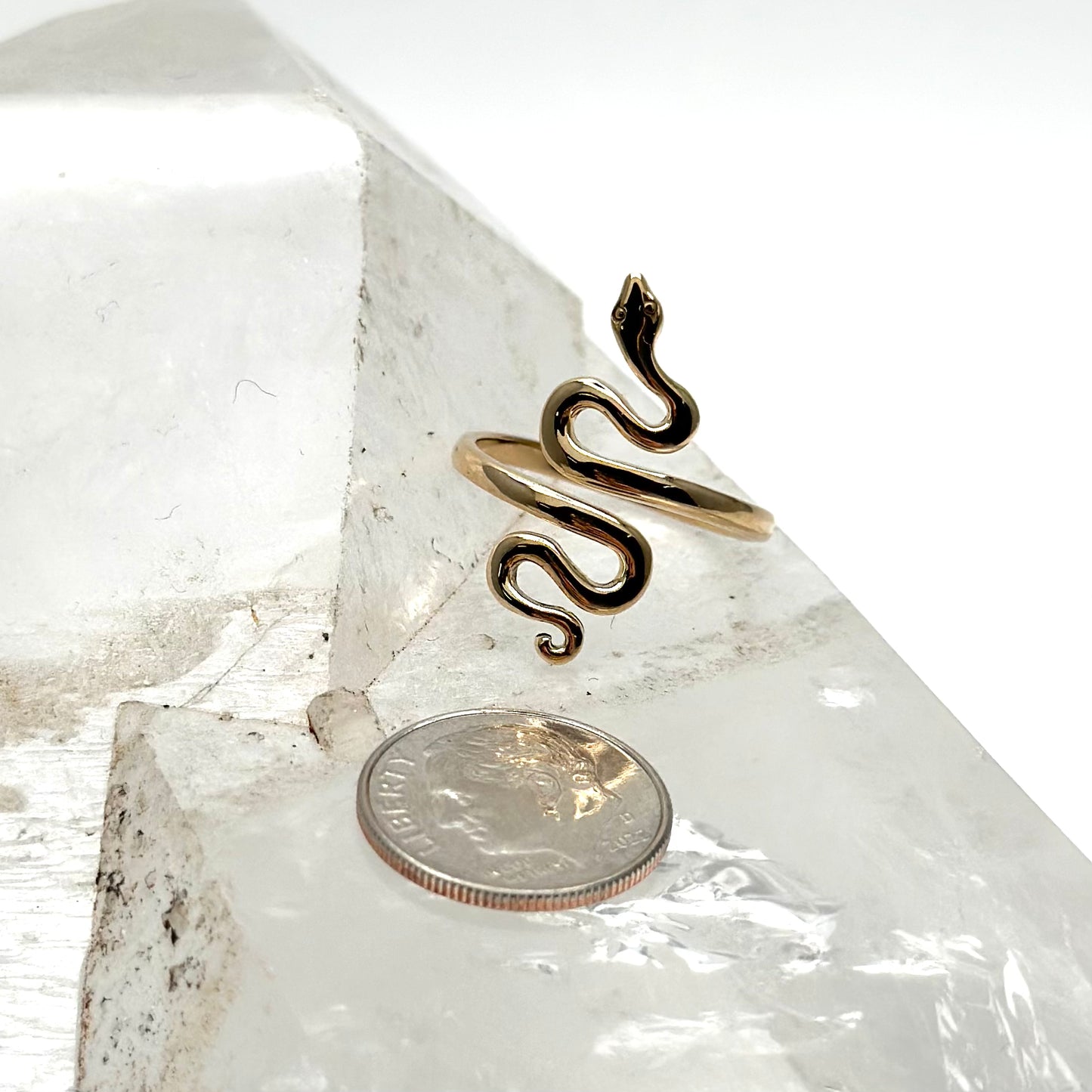 Rebirth Ring- Bronze