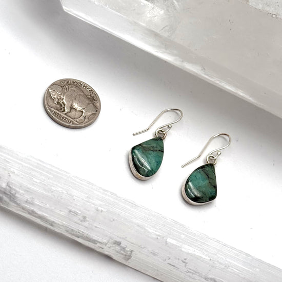 Swell Turquoise Earrings