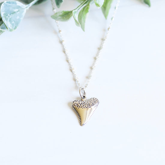 Silver Sharks Tooth Necklace