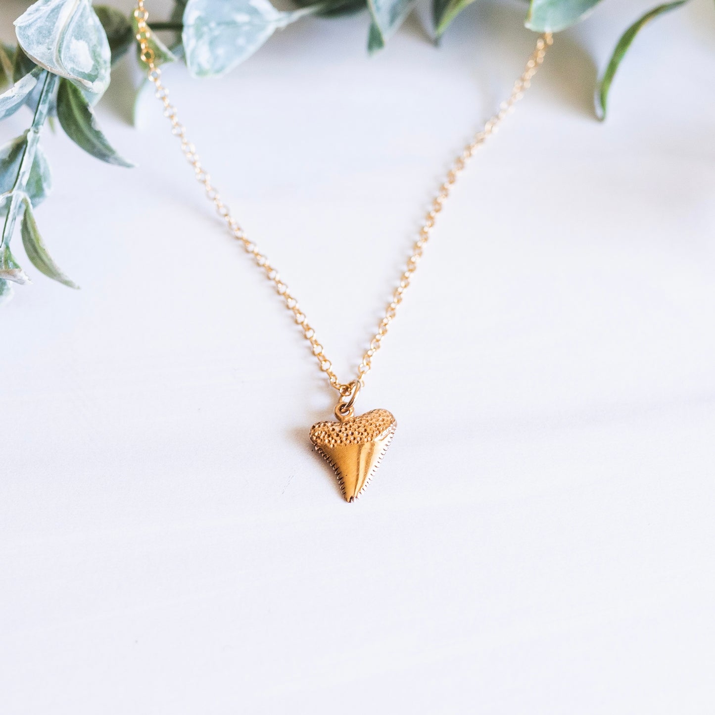 Gold Sharks Tooth Necklace