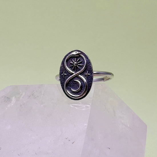 Silver Ouroboros Ring