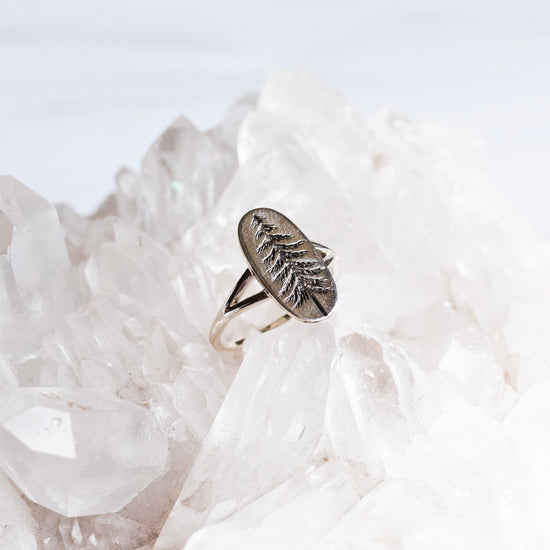 Load image into Gallery viewer, Evergreen Ring Silver
