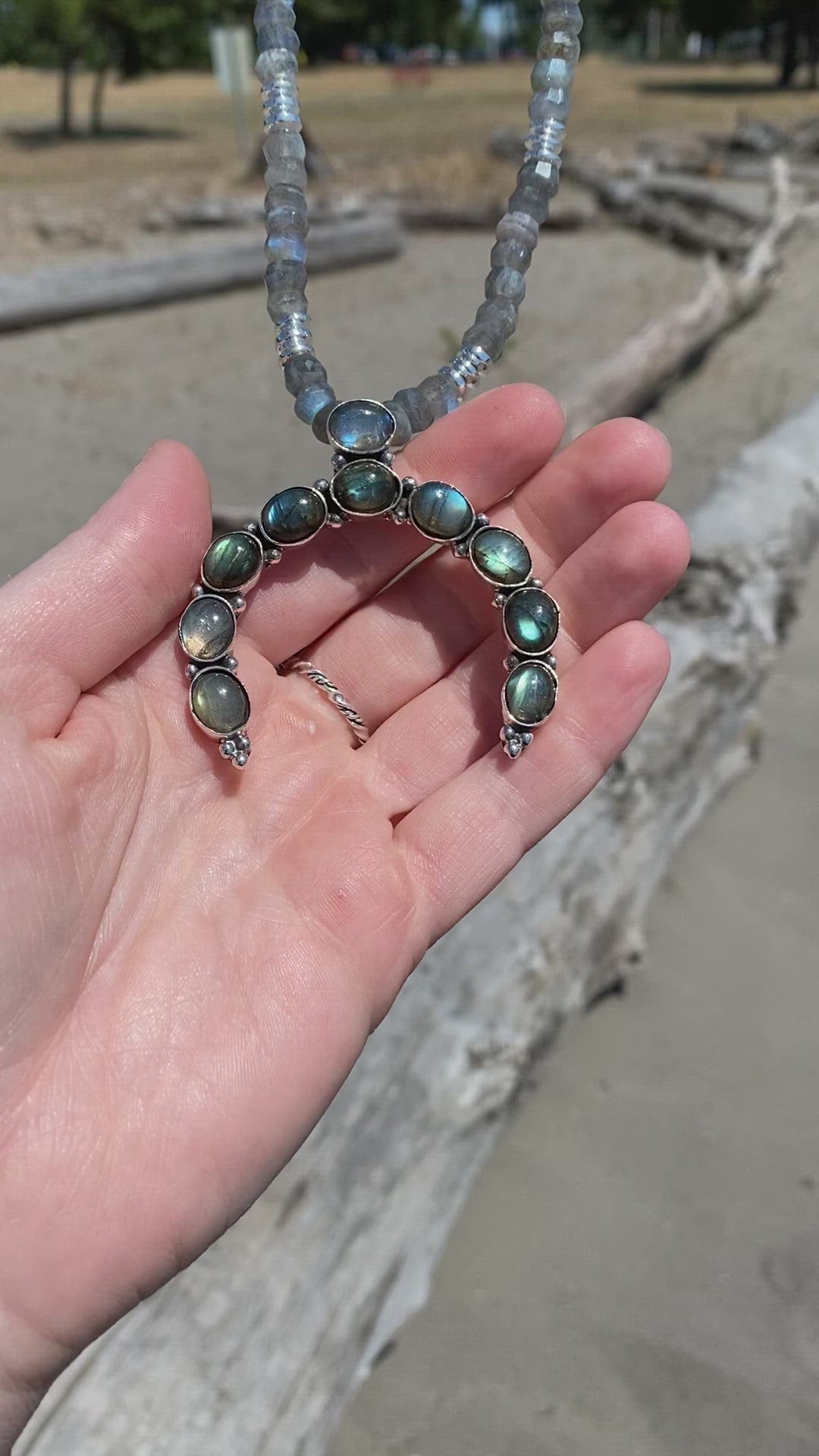 Load and play video in Gallery viewer, Delaney Labradorite Necklace

