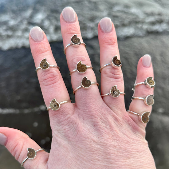 Ammonite ring 2025